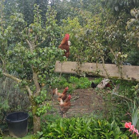 Bienvenue Chez Joelle Et Andre Au 207 Bed & Breakfast Balaze Exterior foto